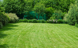 Why Keep Your Garden Landscaped?