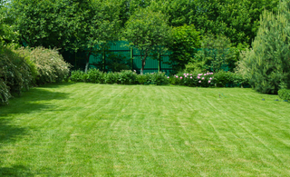 Why Keep Your Garden Landscaped?
